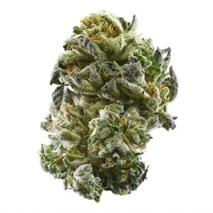 Buy Girls Scout Cookies Online In London
