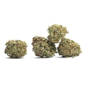 Buy Purple Haze Online In London