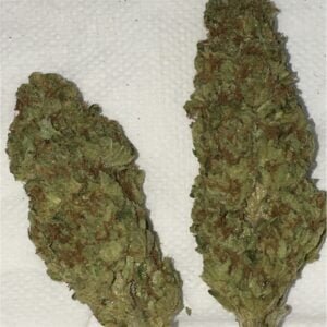 Buy Girls Scout Cookies Online In United Kingdom