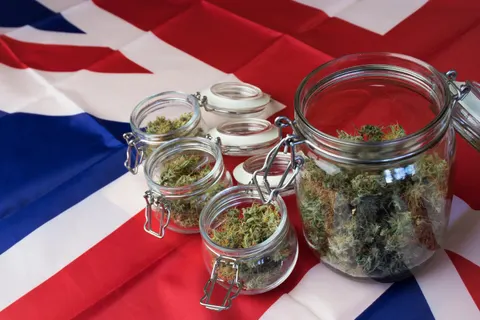 Buy Weed Online In London